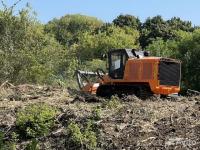 Valtra T-193, Гусеничный мульчер, расчистка от деревьев
