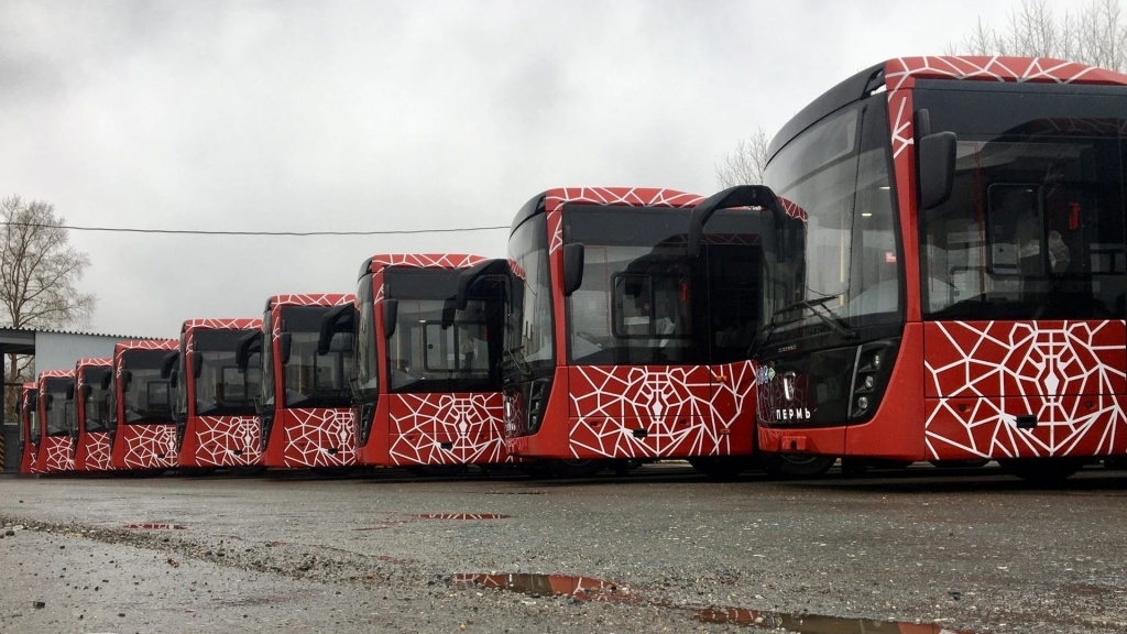 Новые автобусы НЕФАЗ для Перми